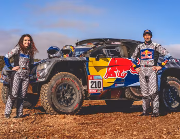 Peugeot 3008 DKR, Cyril Despres