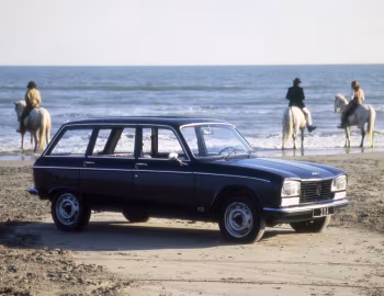 Peugeot 304 Break [Worldwide] '1970–80