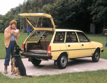 Багажник Peugeot 305 Break [Worldwide] '1982–88