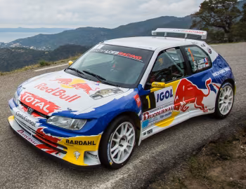 Peugeot 306 Maxi Kit Car '1996–98