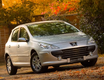 Peugeot 307 "Millesim 200" [Brazil] '2010–11