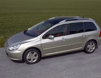 Peugeot 307 SW "Roland Garros" '2004