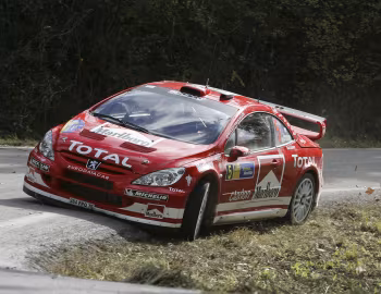 Peugeot 307 WRC '2004