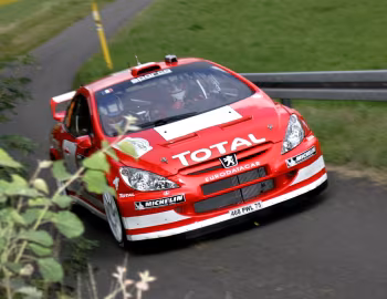 Peugeot 307 WRC '2004