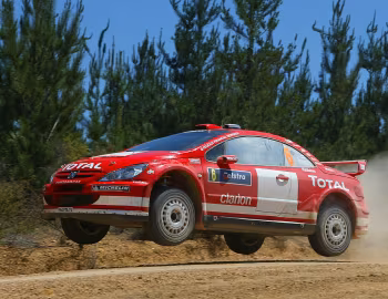 Peugeot 307 WRC '2004