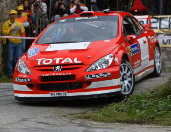 Peugeot 307 WRC '2004