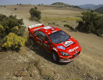 Peugeot 307 WRC '2005