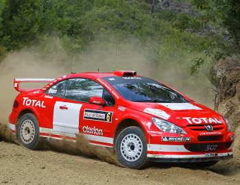 Peugeot 307 WRC '2004
