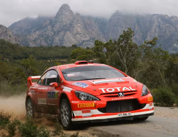 Peugeot 307 WRC '2005