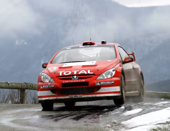 Peugeot 307 WRC '2004