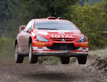 Peugeot 307 WRC '2005