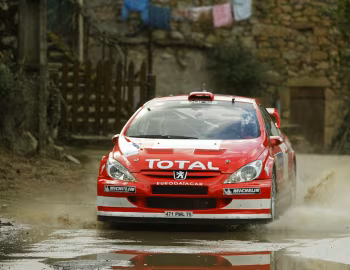 Peugeot 307 WRC '2004