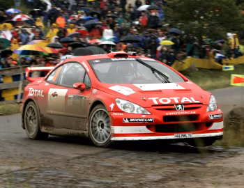 Peugeot 307 WRC '2004