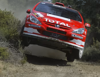Peugeot 307 WRC '2004