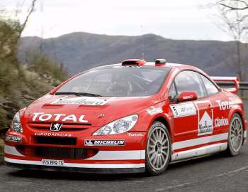 Peugeot 307 WRC '2004
