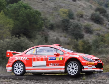 Peugeot 307 WRC '2005