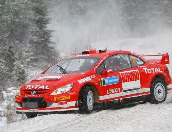 Peugeot 307 WRC '2005