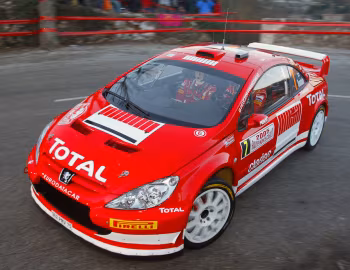 Peugeot 307 WRC '2005