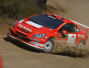 Peugeot 307 WRC '2004