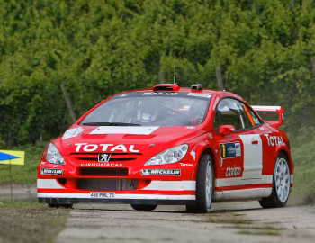 Peugeot 307 WRC '2004