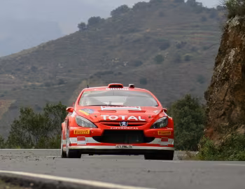 Peugeot 307 WRC '2005