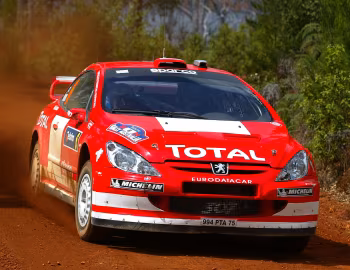 Peugeot 307 WRC '2004