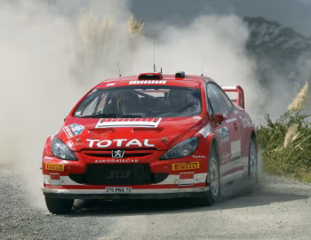 Peugeot 307 WRC '2005