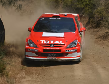 Peugeot 307 WRC '2004