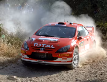 Peugeot 307 WRC '2005