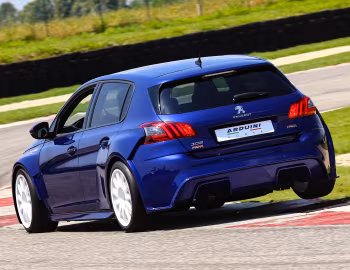 Peugeot 308 by Arduini Corse '07.2018