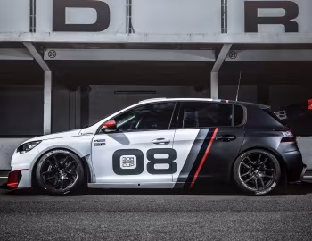 Peugeot 308 Racing Cup (T9) '2016–17