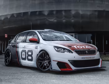 Peugeot 308 Racing Cup (T9) '2016–17