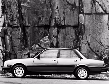 1983–86 Peugeot 505 [North America] '1982–86