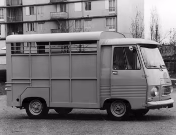 Peugeot J7 Cattle Truck '1967–80