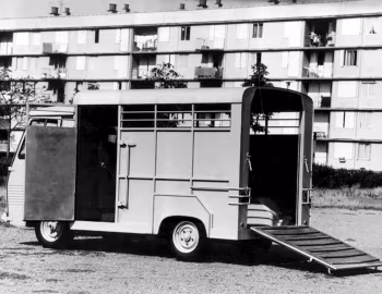 Peugeot J7 Cattle Truck '1967–80