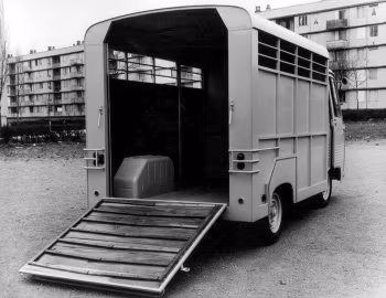 Peugeot J7 Cattle Truck '1967–80