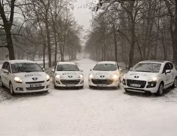 Peugeot 3008, Peugeot 207, Peugeot 5008, Peugeot 308