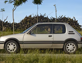 Peugeot 205 "Gentry" '1992–93