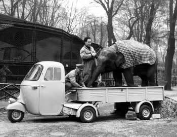 Piaggio Ape Pentarò (APB1) '1961–64