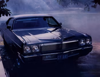 1973 Plymouth Fury Gran Coupe (JP2 PP23)