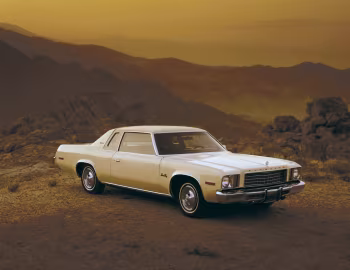 1976 Plymouth Gran Fury Brougham 2-door Hardtop (PP29)