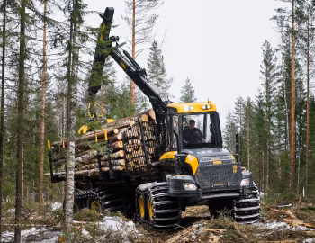 Ponsse Buffalo King '2015–pr.