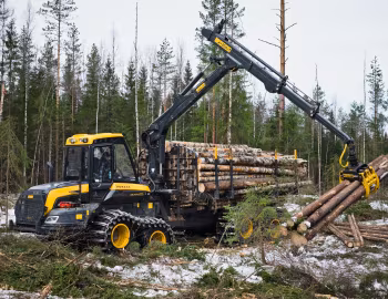 Ponsse Buffalo King '2015–pr.