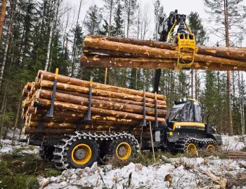 Ponsse Buffalo King '2015–pr.