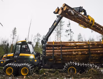 Ponsse Buffalo King '2015–pr.