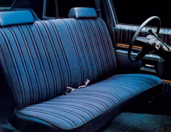 Interior 1980 Pontiac Catalina Sedan (2B L69)