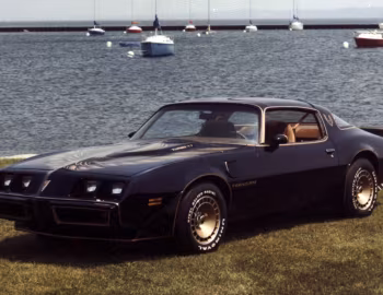1980 Pontiac Firebird Trans Am Turbo Black & Gold Special Edition (2F W87)