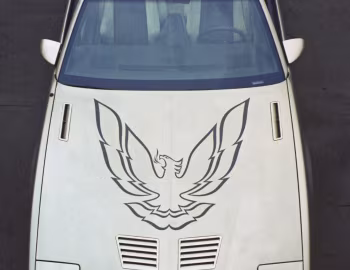 1985–90 Pontiac Firebird Trans Am T-Roof