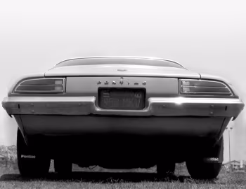 1973 Pontiac Firebird Esprit (2FТ87)