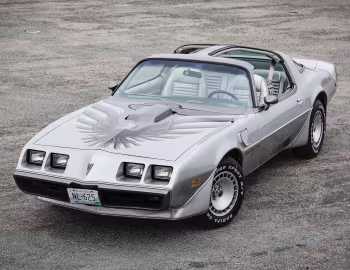 1979 Pontiac Firebird Trans Am 6.6 L80 "10th Anniversary" (2F W87)